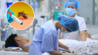 Sốt xuất huyết Đà Nẵng 2026: Hơn 4.200 ca, tăng 2,4 lần